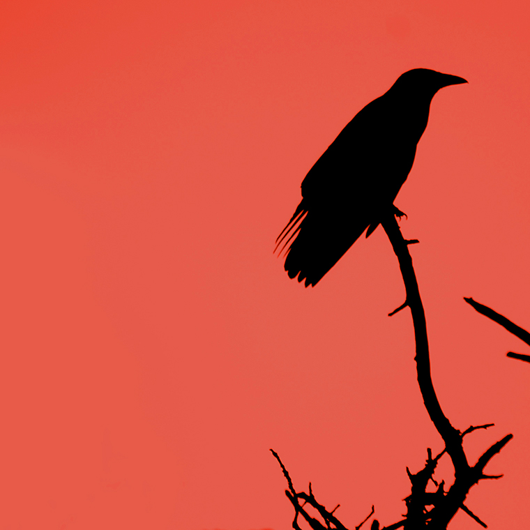 Digital Advertising Horror Stories